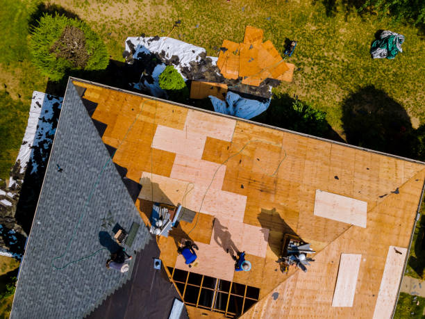 Best Residential Roofing Contractor  in Lone Star, TX